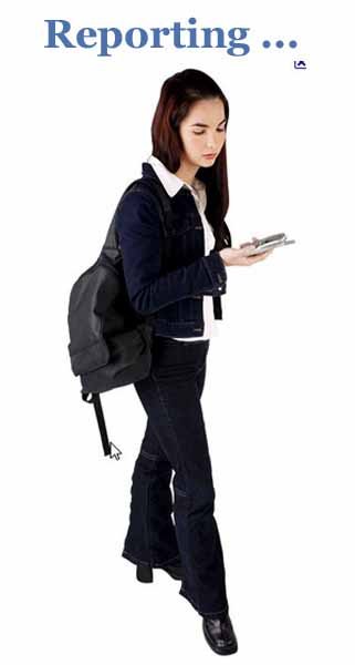 Reporting, MIS and Others @ Tally.ERP9